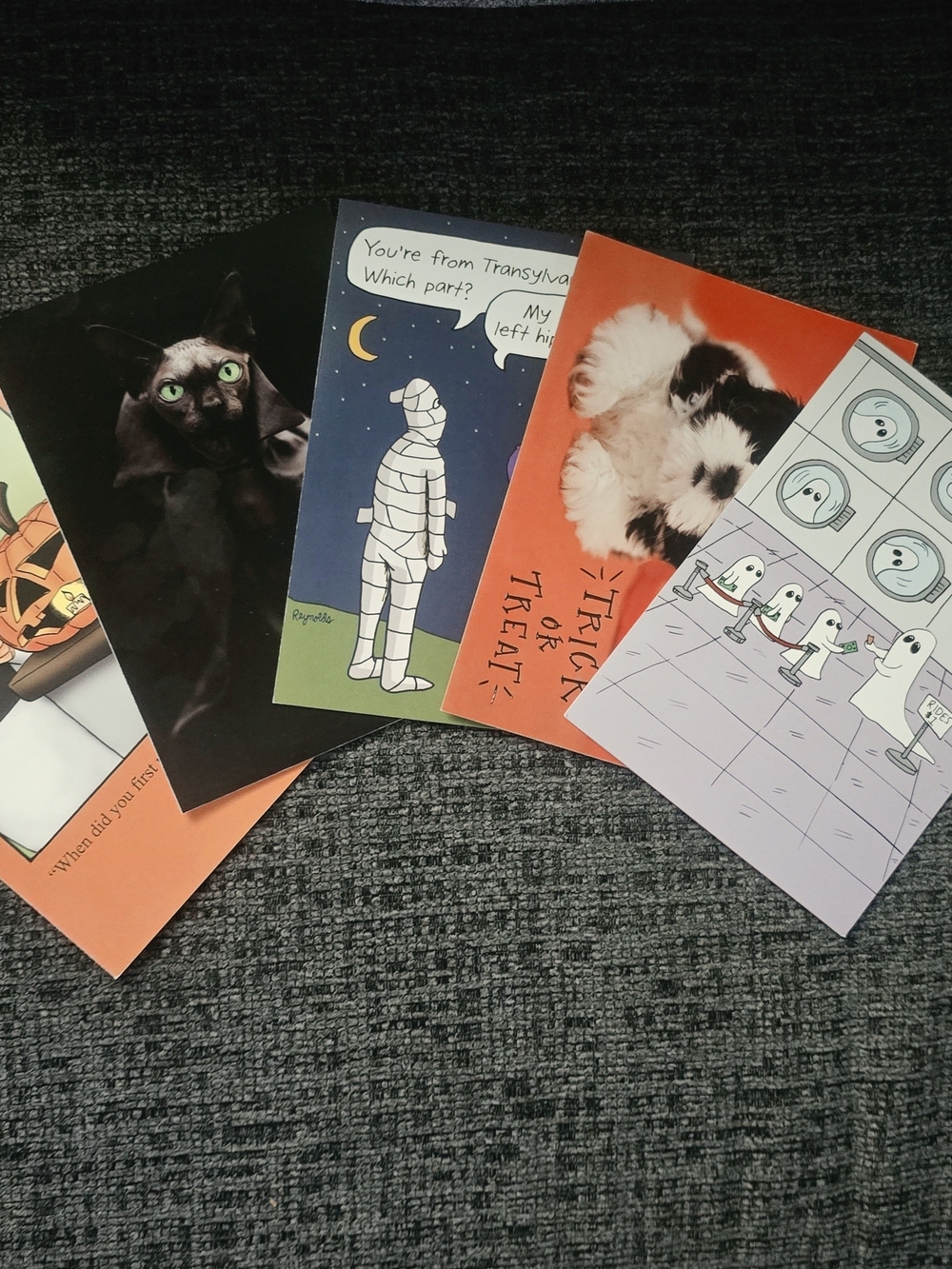 Orange and Black Cat-Themed Greeting Cards Pack - Brand